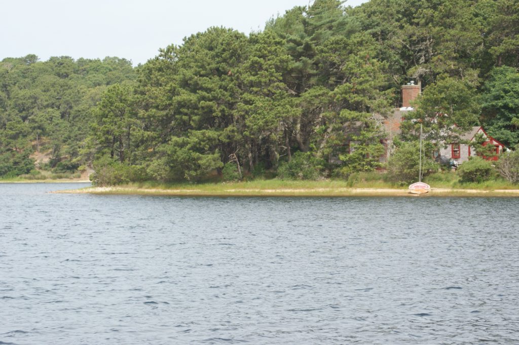 Essay apcc 2 05 picture