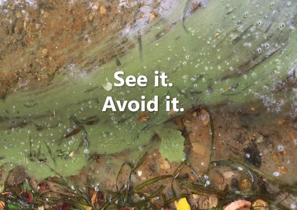 Apcorise 2021 picture